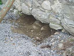 coolross 1980.jpg